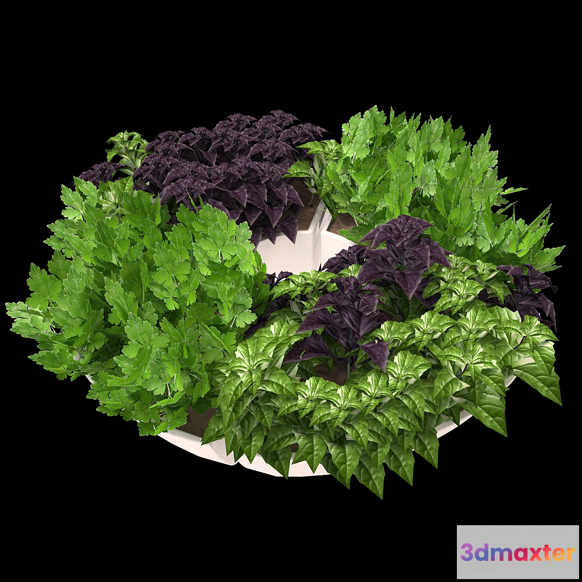 1279160 - Decor with herbs 3D Max