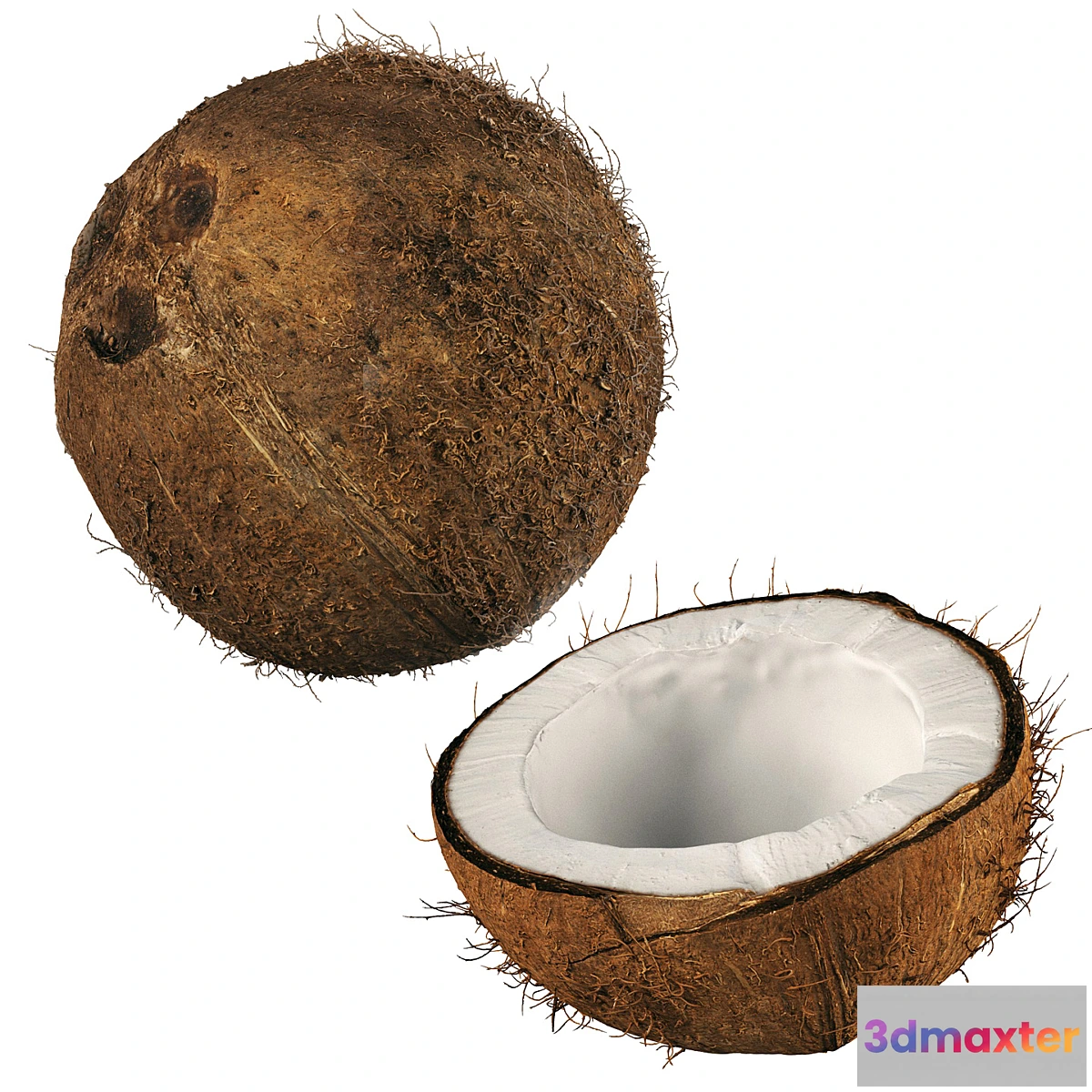 1344865 - 4k coconut 02 - No.2 3D Max