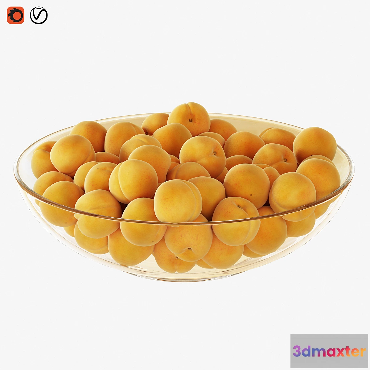 1356365 - Apricots in a vase 3D Max
