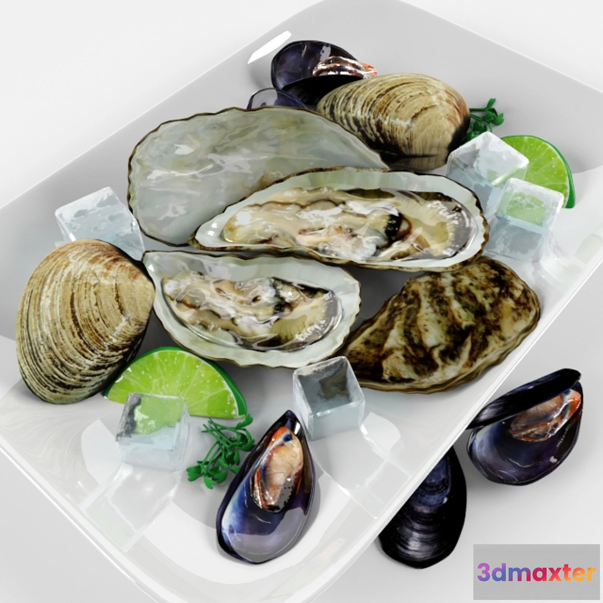 1431560 - Clams to the table 3D Max