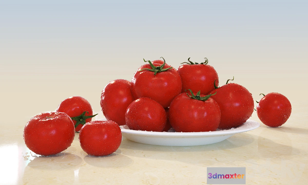 630625 - Tomatoes - No.2