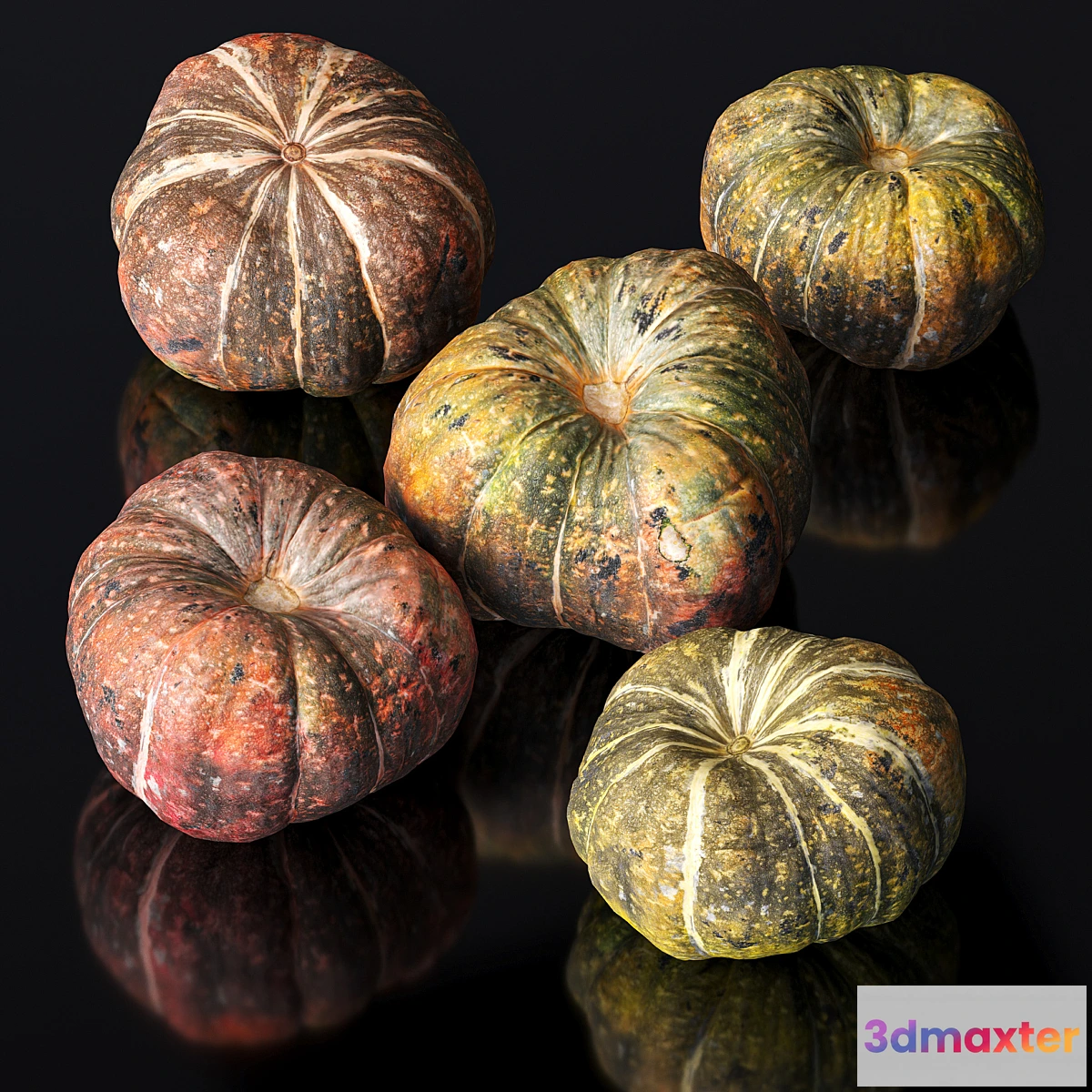 773805 - Pumpkin. 5 models