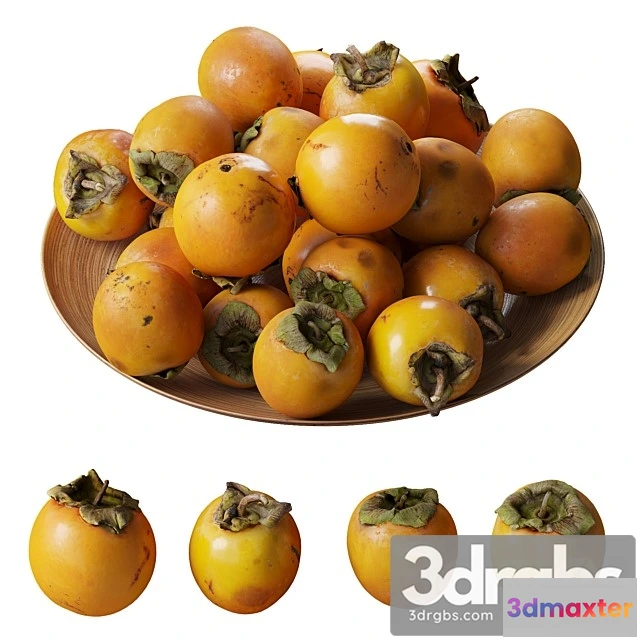 977578 - Persimmon Kinglet on a Platter