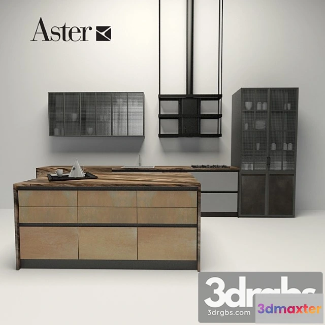 979058 - Aster Factory 1
