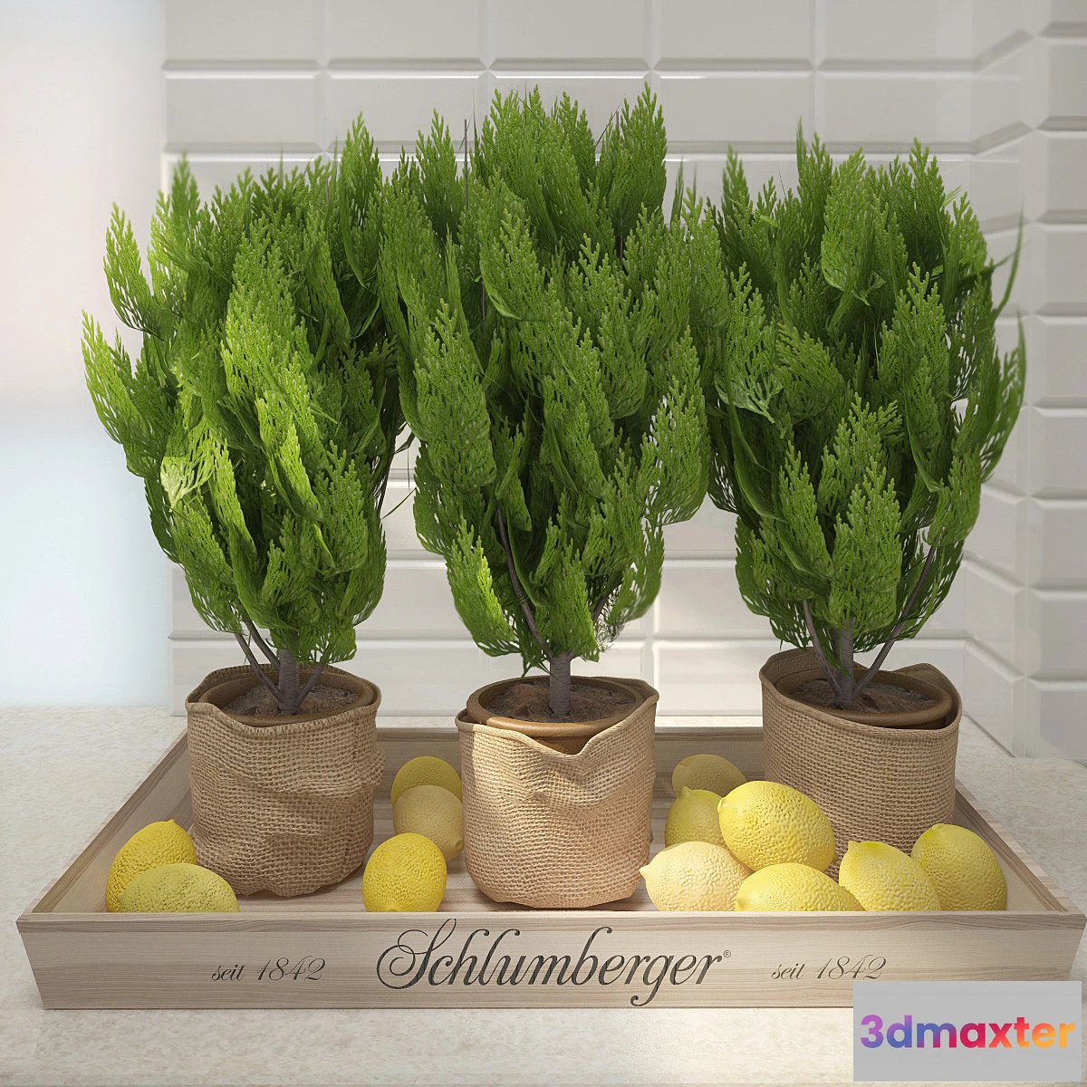 1289842 - Decor with lemon 3D Max