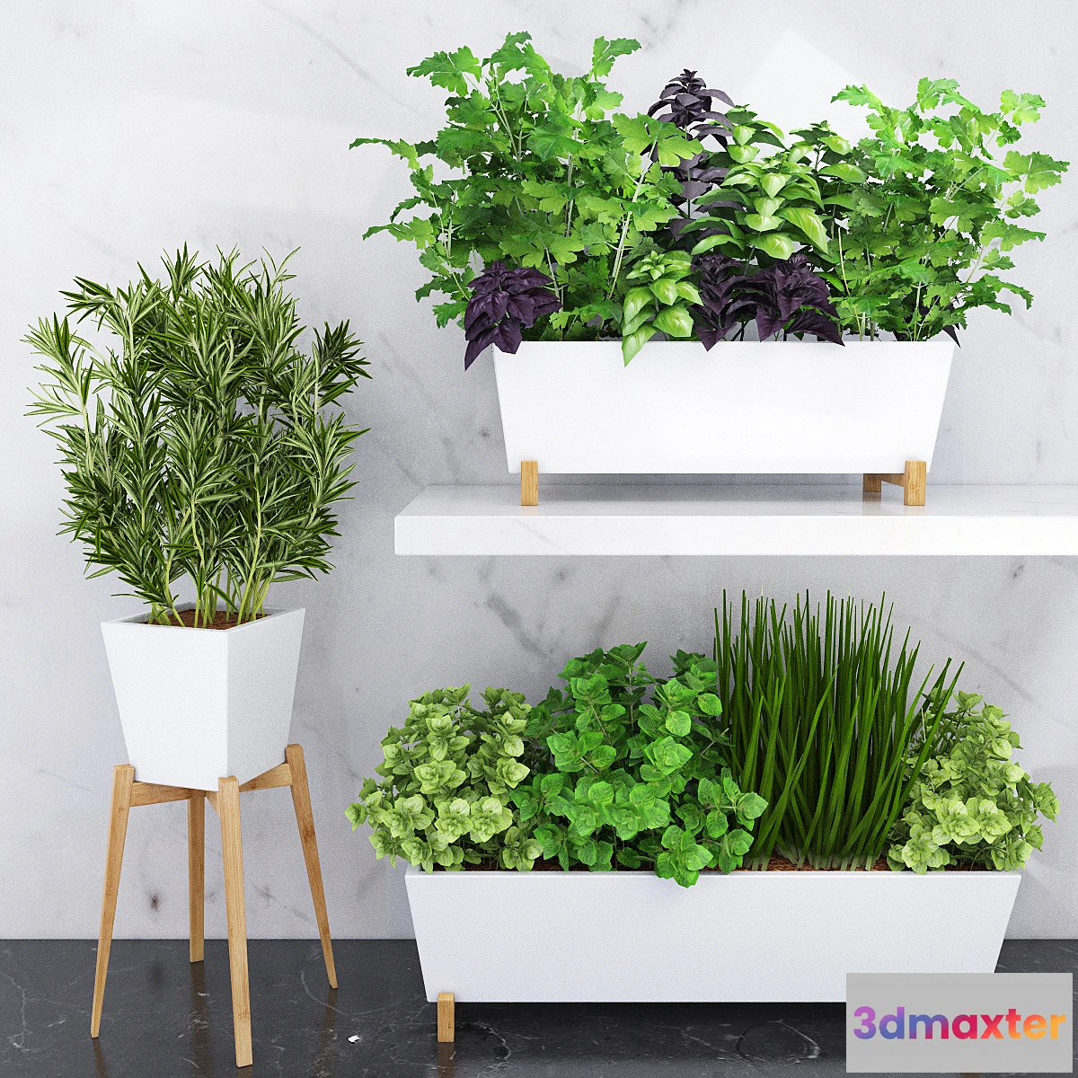 1427870 - Spicy herbs for the kitchen in ceramic pots 3D Max