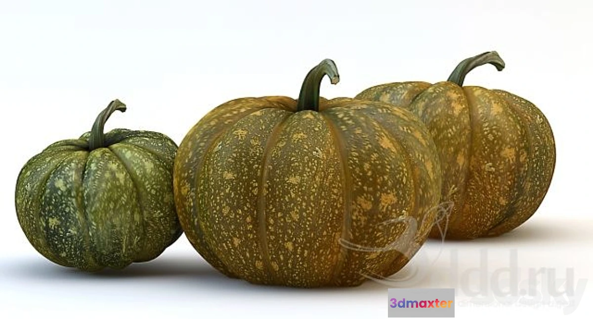 626085 - the three pumpkins