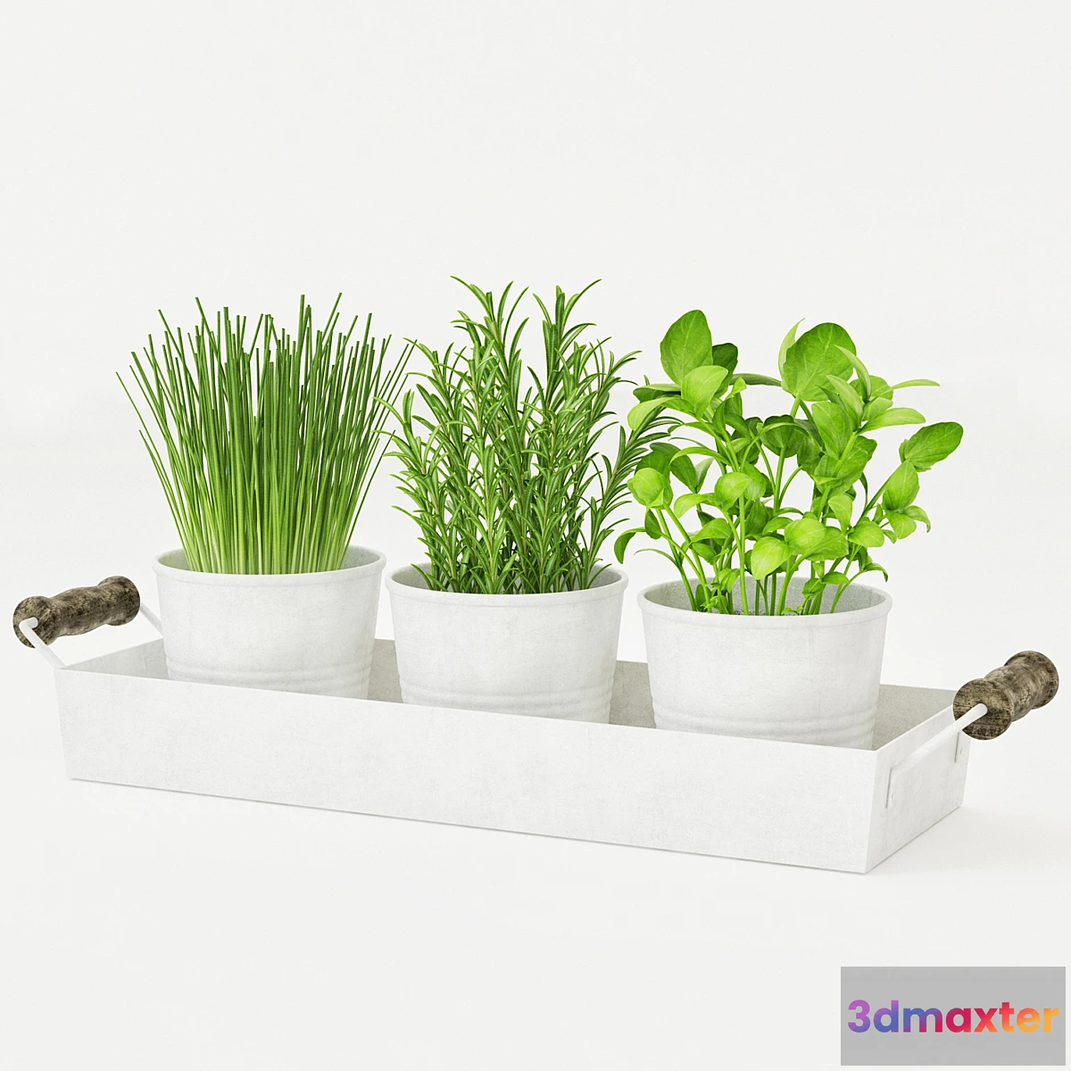 650347 - Pots of herbs