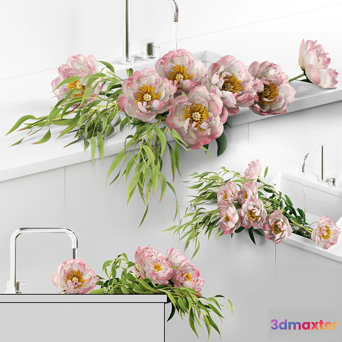 658785 - Peonies in sink