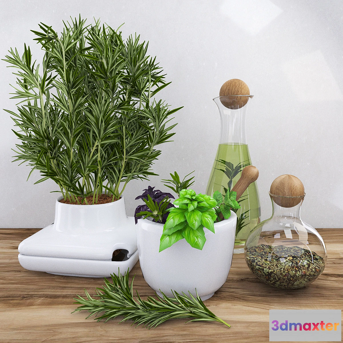 662953 - Decor with spicy herbs - rosemary