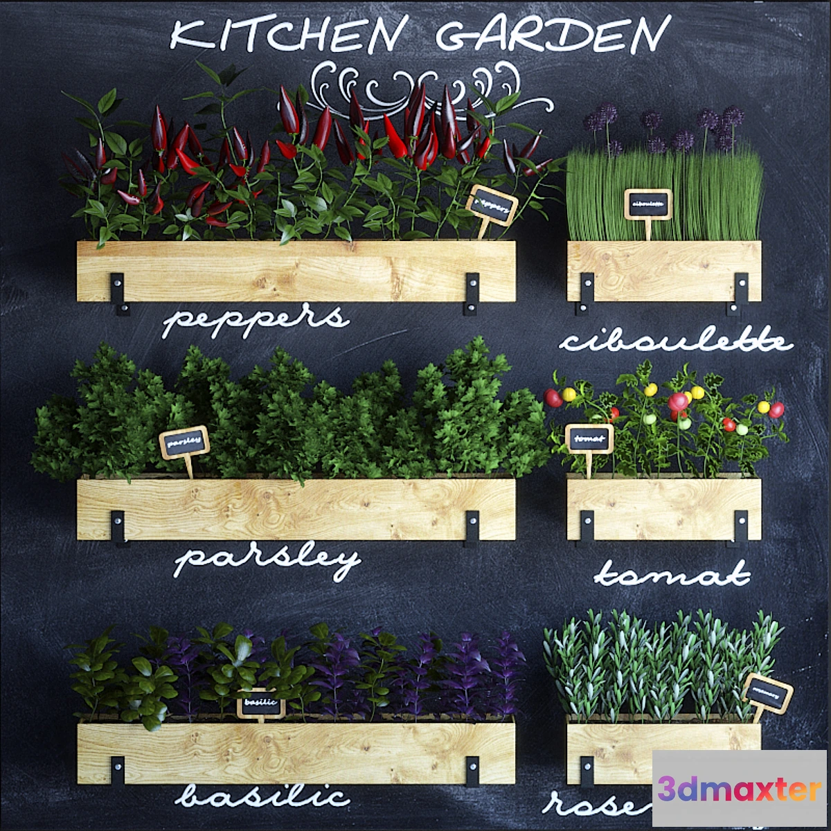 670669 - Kitchen garden - No.2