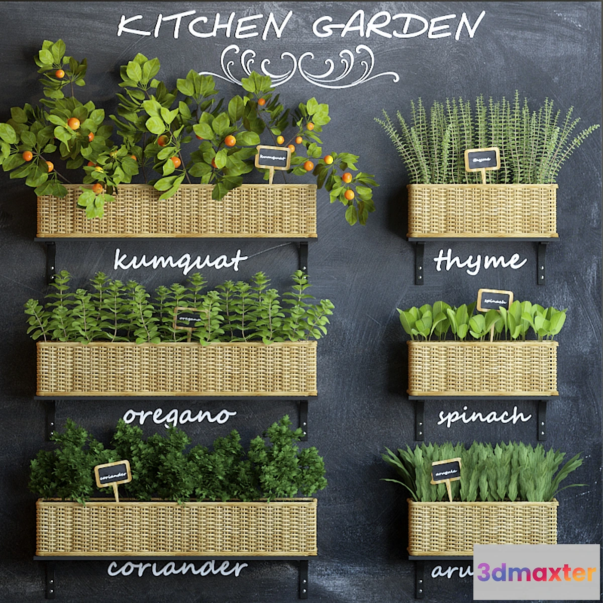 792420 - Kitchen garden 3 - No.3