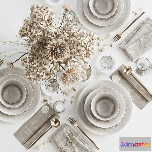 1544793 - Table setting 83 3D Max