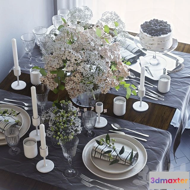 1550255 - Table setting 24 3D Max