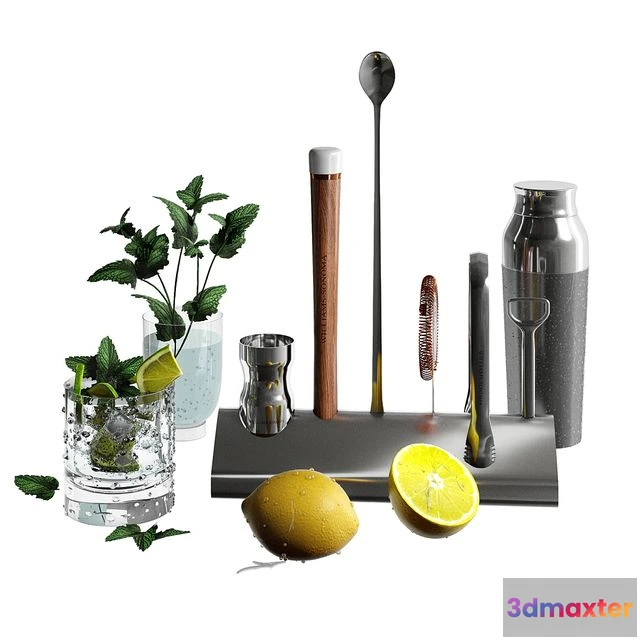 1552891 - Williams Sonoma Signature Bar Tool Set with Stand & Cocktail Shaker 3D Max
