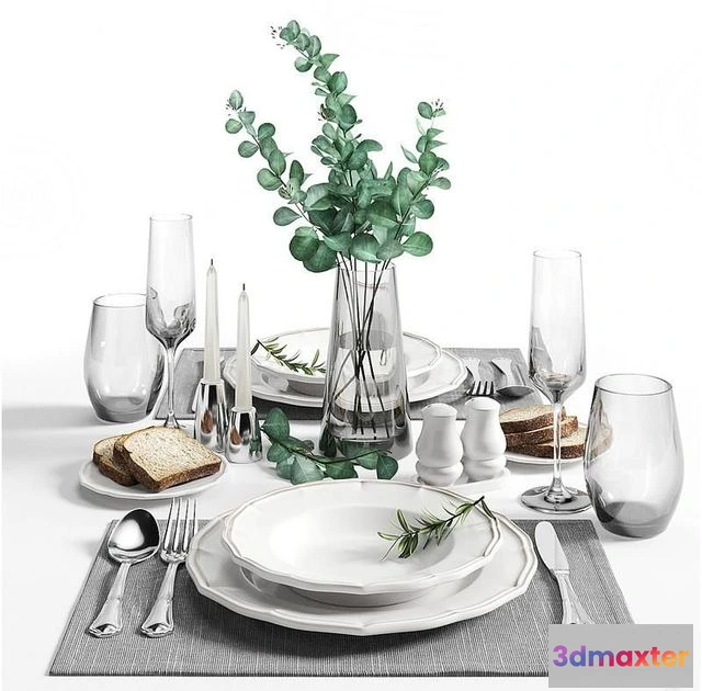 1559031 - Table Setting 3D Max