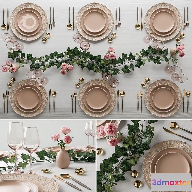 1559932 - Surgeon wedding set (dishes by Casa de Perrin) 3D Max