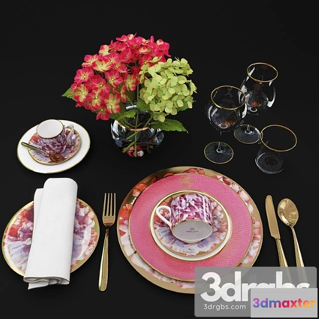 981400 - Serving roberto cavalli