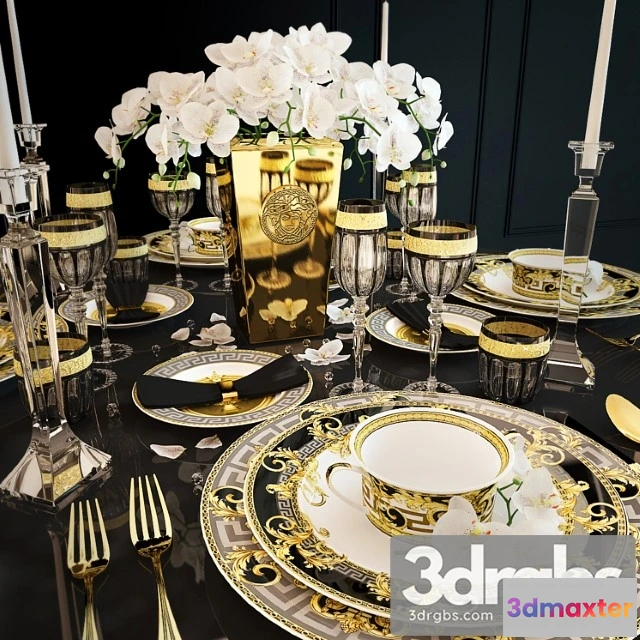 981412 - Serving versace prestige gala - No.2