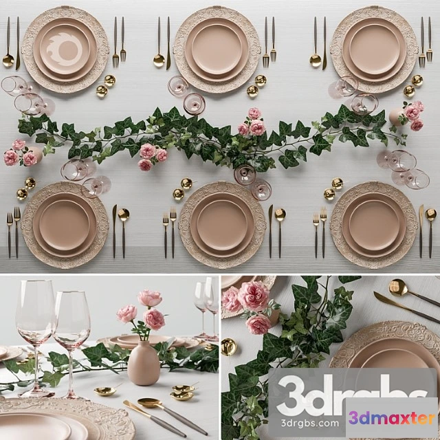 981514 - Surgeon wedding set