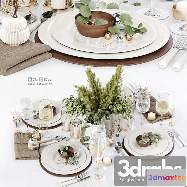 981544 - Table Setting 09