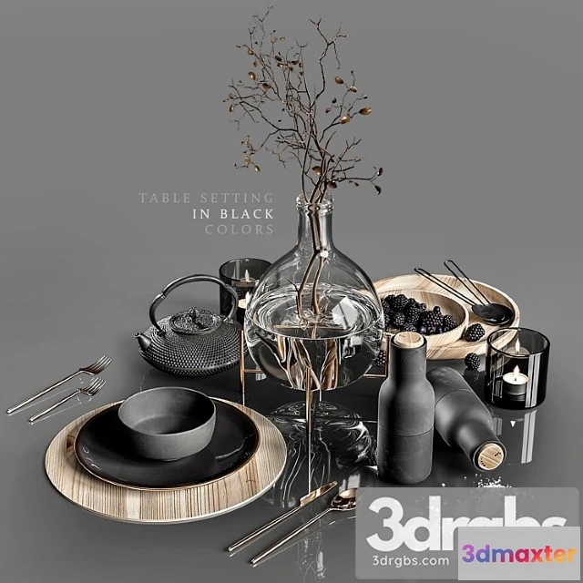 981642 - Table Setting In Black Colors 2 4