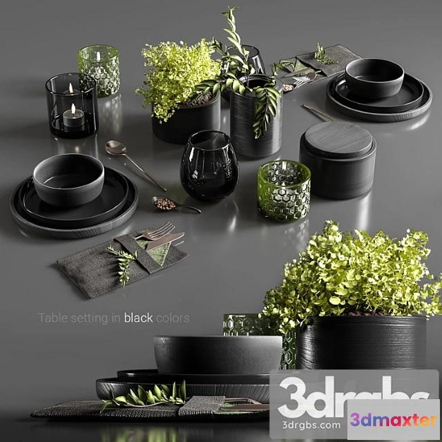 981644 - Table Setting In Black Colors 2