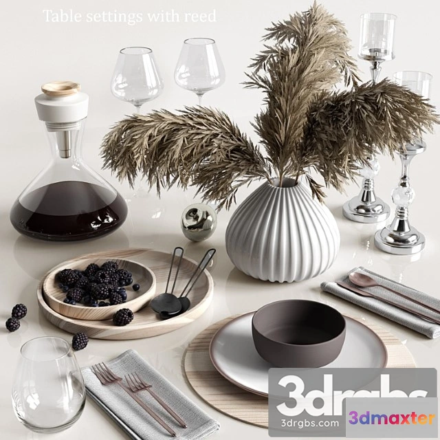 981686 - Table settings with reed