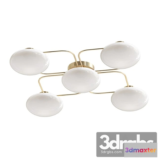 1044588 - Champignon 5