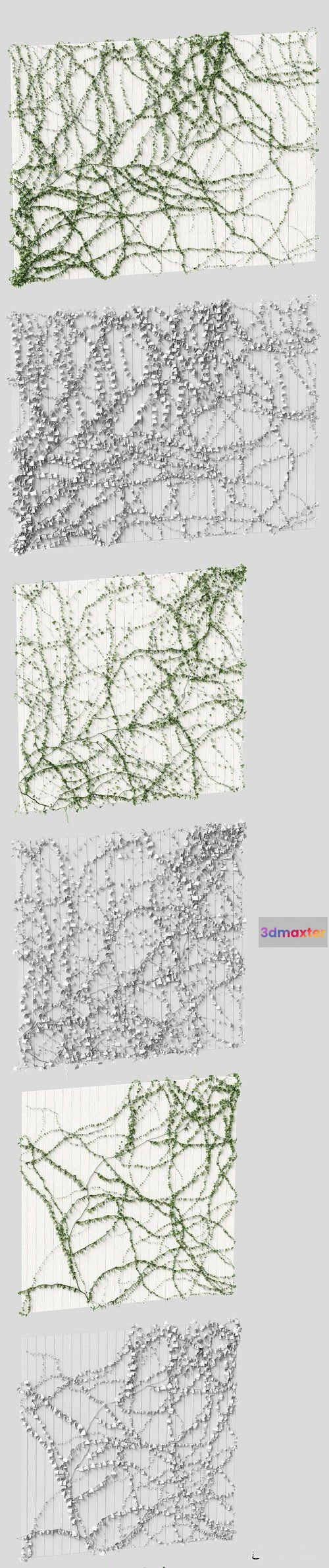 1083810 - Ivy for the ceiling. 4 models - 217367