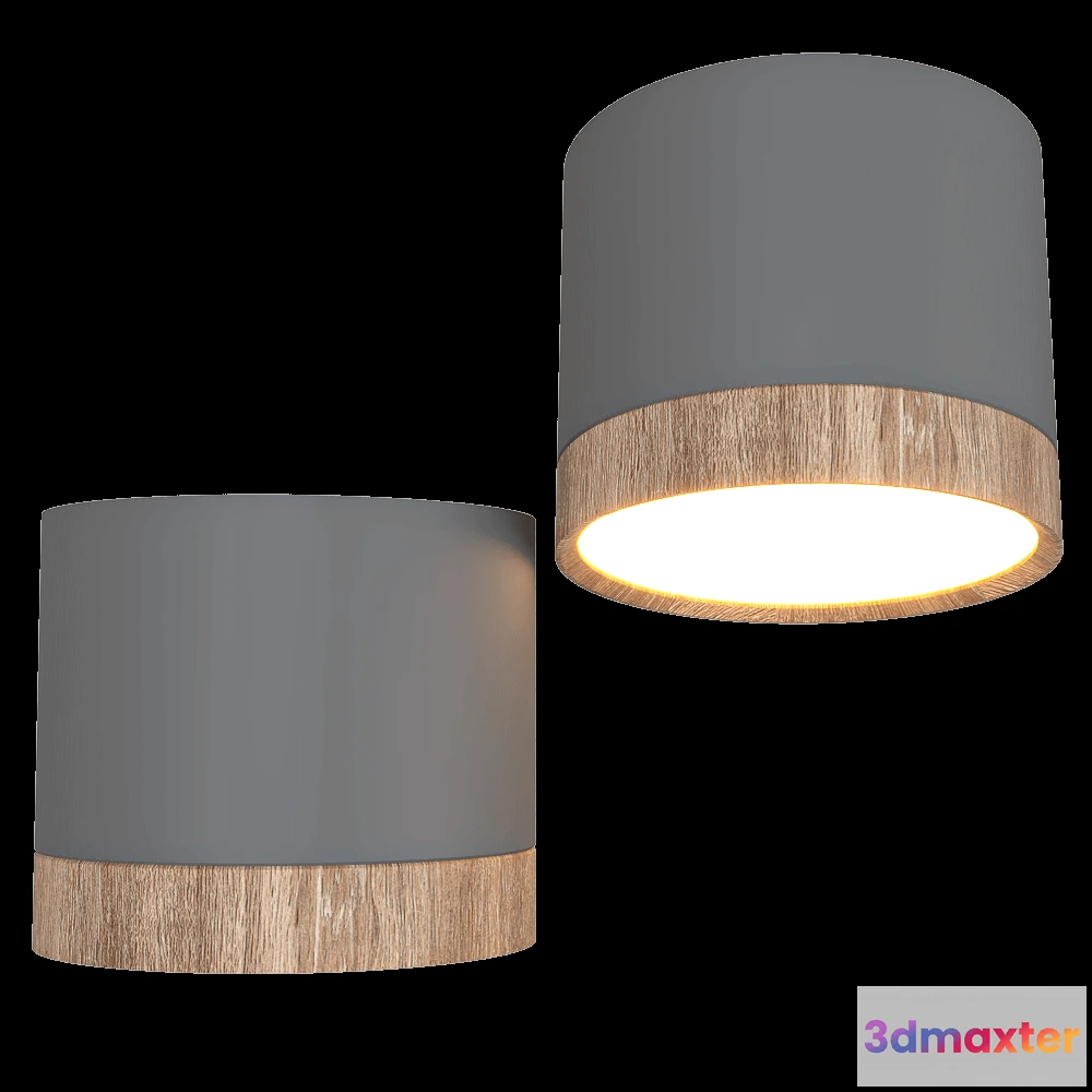 1647344 - Candellux Lighting - Ceiling lamp Тube gray 3D Max