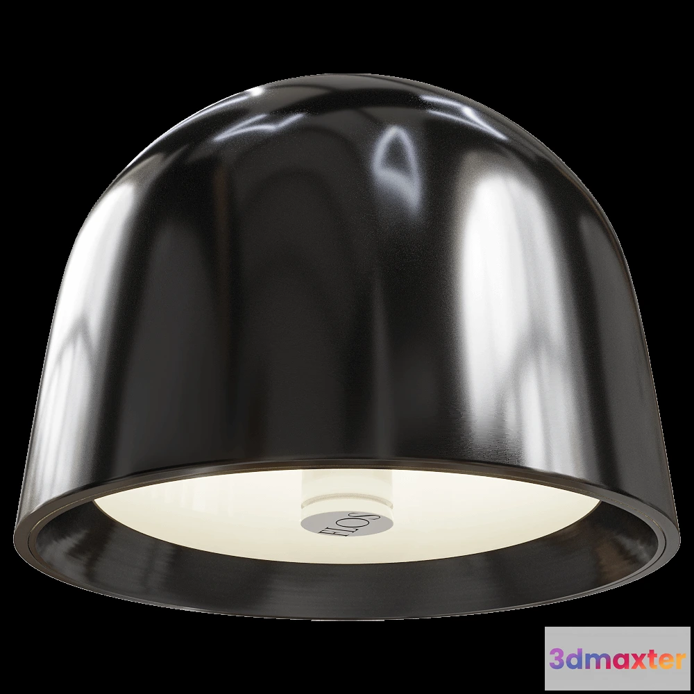 1648482 - FLOS - CeilingWall lamp Wan 3D Max