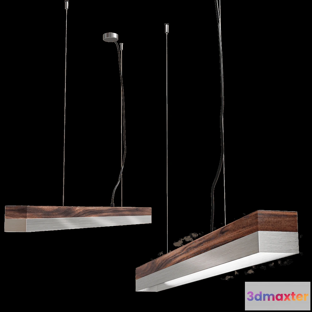 1648538 - GANTlights - [C-2]stainless pendant light 3D Max