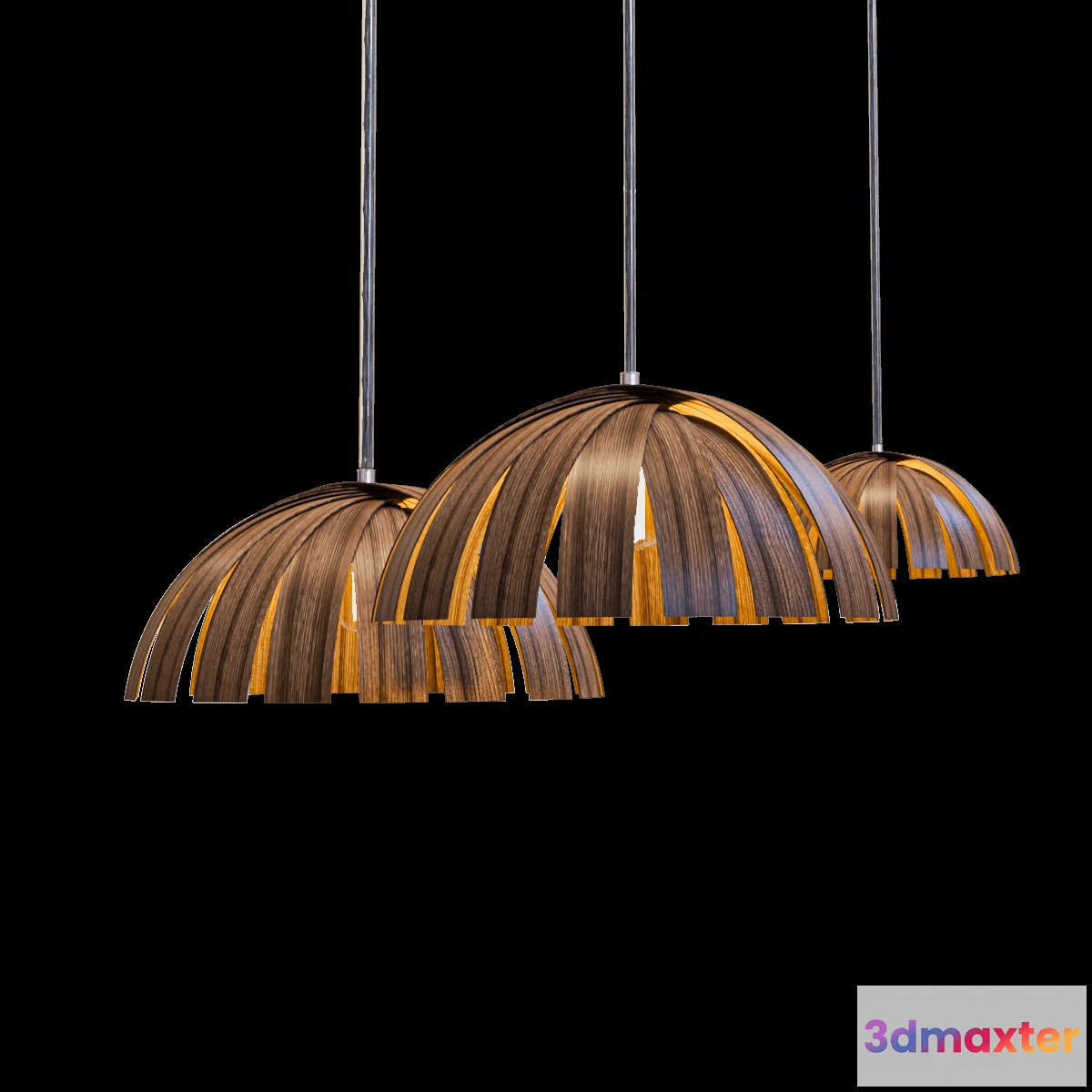 1649814 - LigCor - LC_05 3D Max