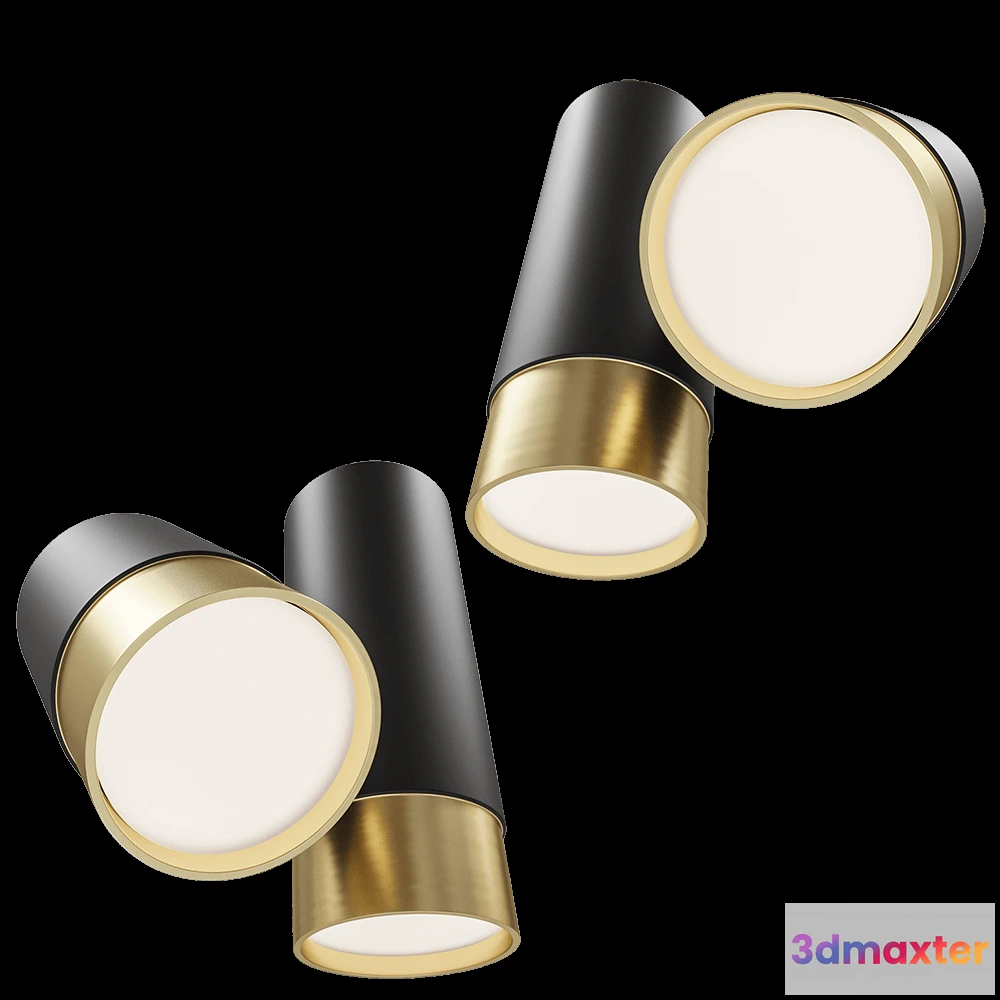 1650744 - Maxlight - Ceiling lamp Puma C0195 3D Max