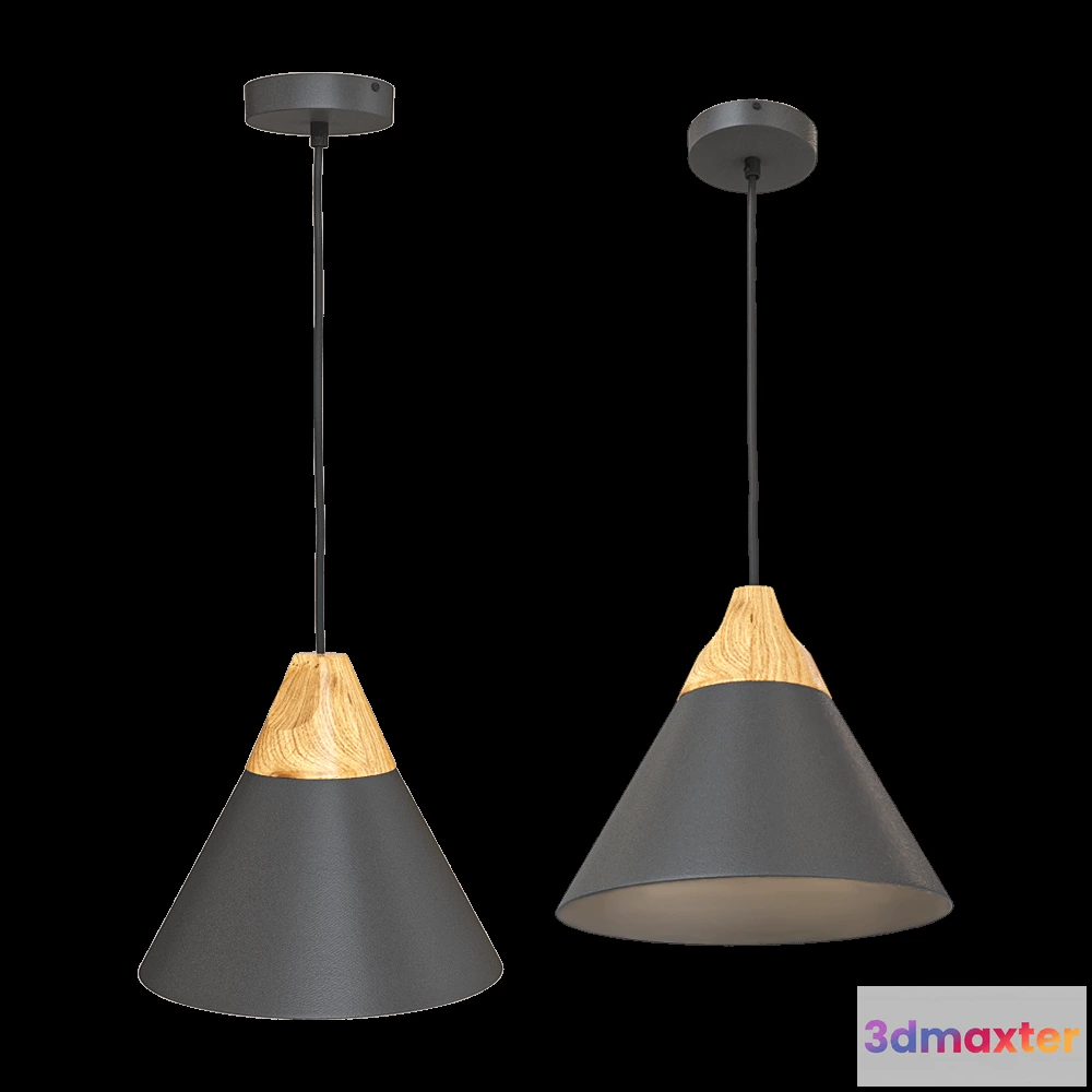 1650852 - Maytoni - Pendant lamp Bicones P359-PL-220-C 3D Max