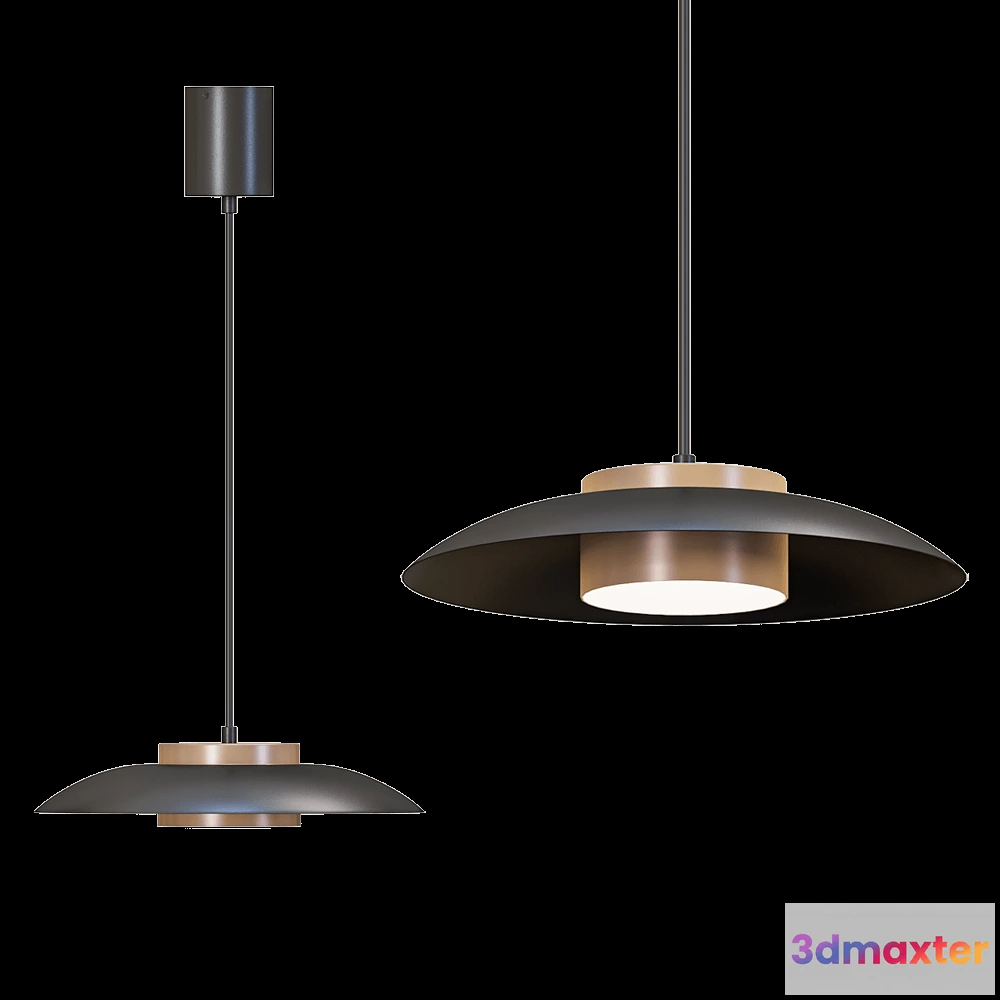 1651294 - Novotech - Pendant lamp PILZ 358591 3D Max