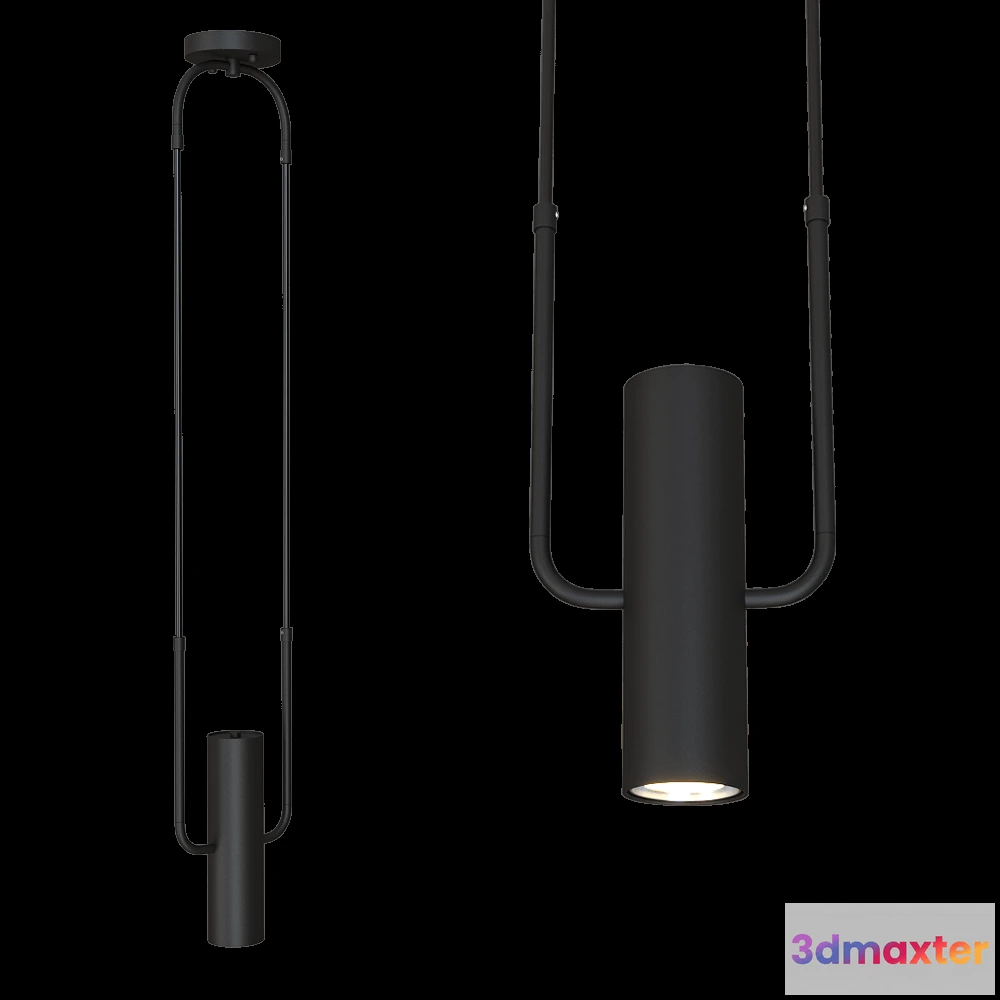 1651890 - Pikart  - Pendant lamp art. 30681 3D Max