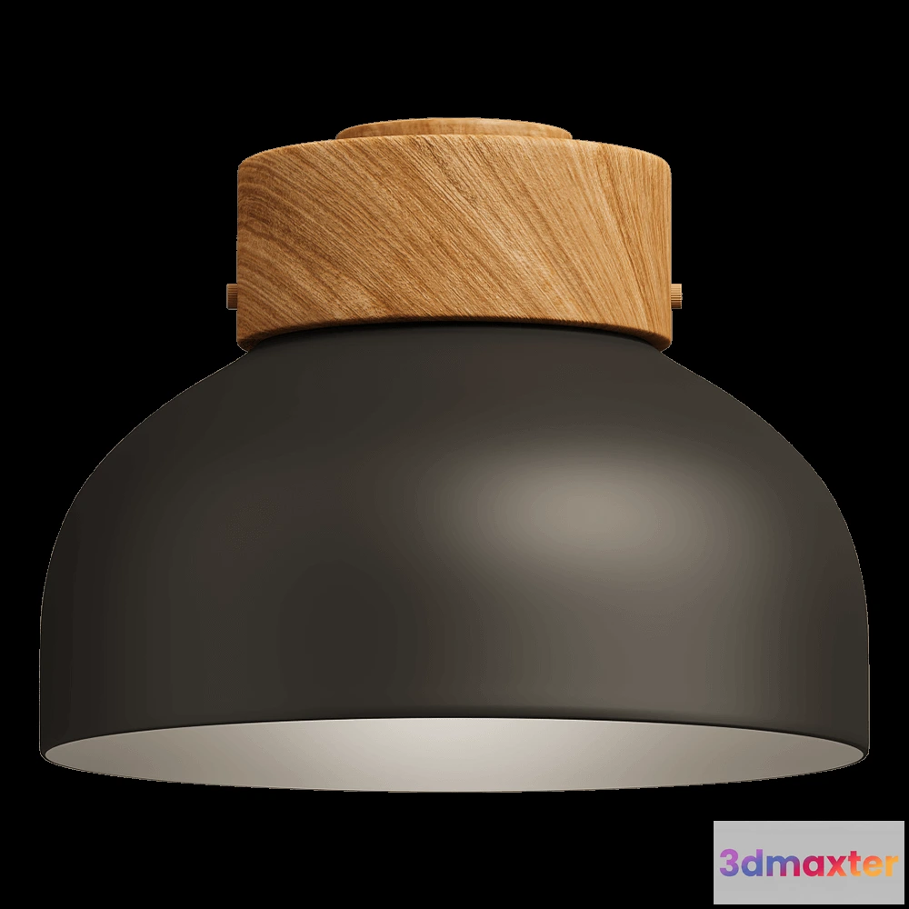 1652056 - Robin Lamps - Ceiling lamp Reiko 3D Max