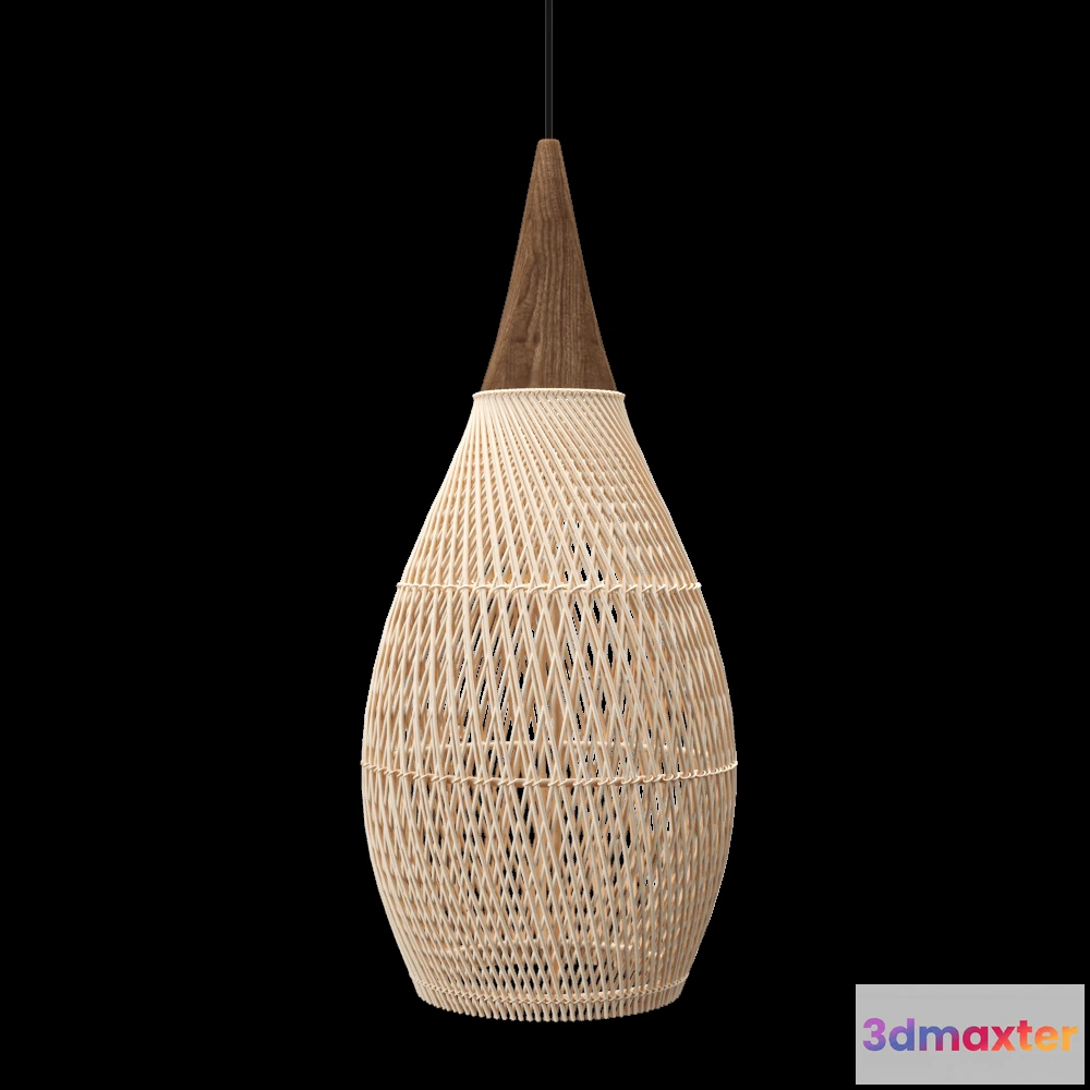 1652684 - Teak House - Pendant lamp Horn Medium 3D Max