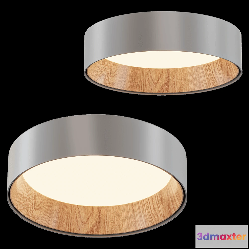 1655600 - Vibia - Ceiling lamp Duo 4870 3D Max