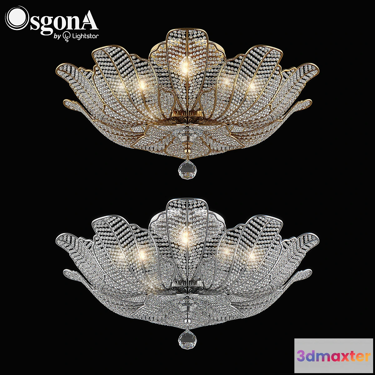 669255 - 70513x_Riccio_Osgona - No.2