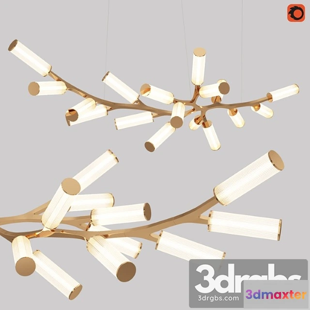 981980 - Cameron design house - steinway haara