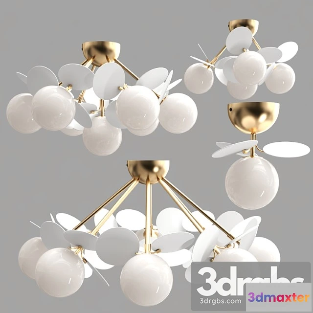 982238 - Matisse Self Collection 01