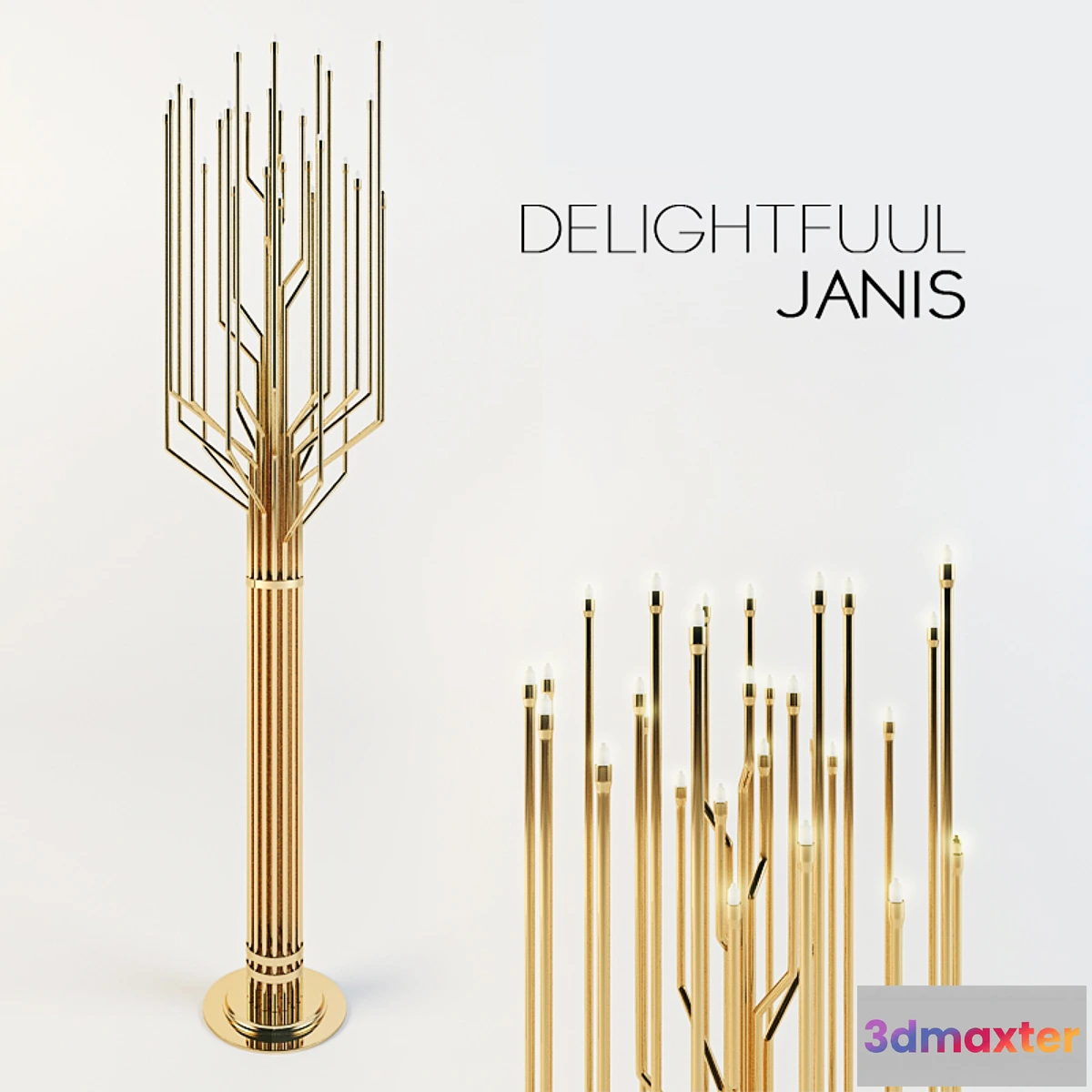 1279436 - Delightfull Janis 3D Max