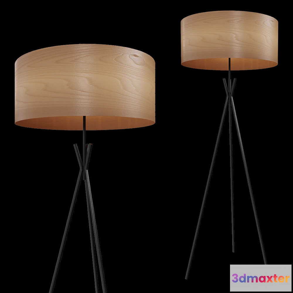 1656446 - LZF - Floor lamp Cosmos 3D Max