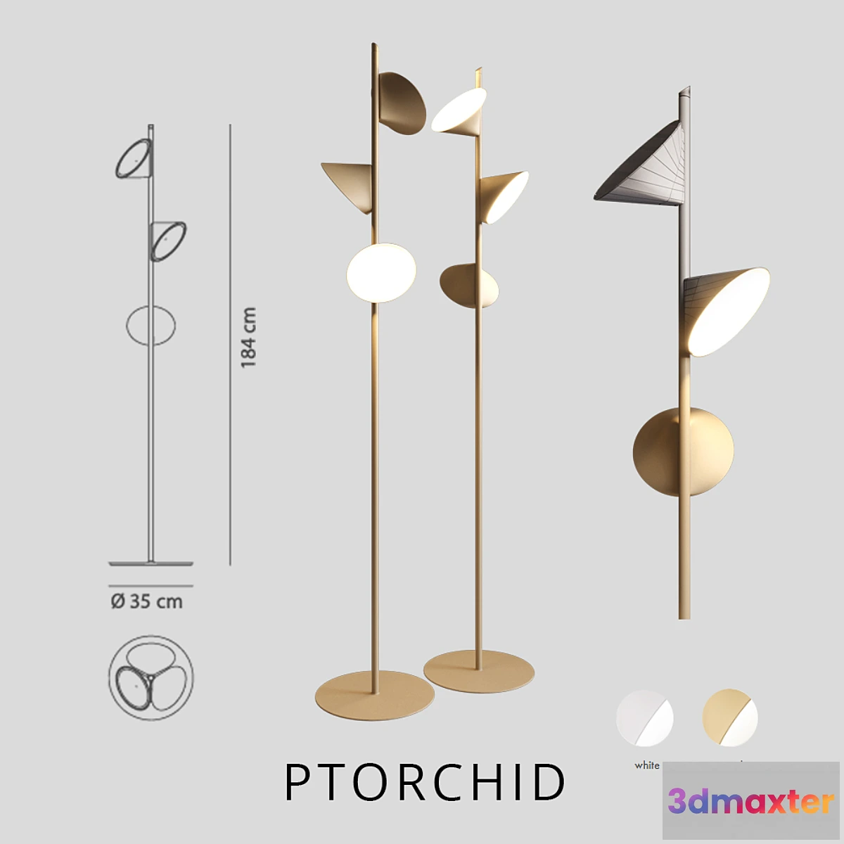 564889 - axolight orchid PTORCHID