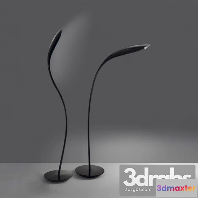 982764 - Doride Terra