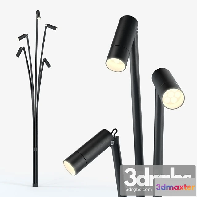 984118 - Brillamenti reanuzza