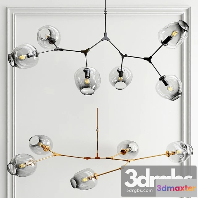 1046362 - Branching bubble 5-6 light